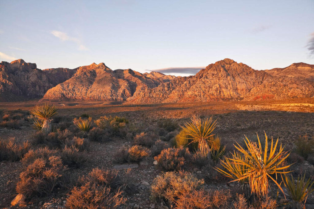 How to Become a Counselor in Nevada How to Become a Counselor in Nevada